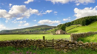 Hidden Treasures of Yorkshire - GOLD